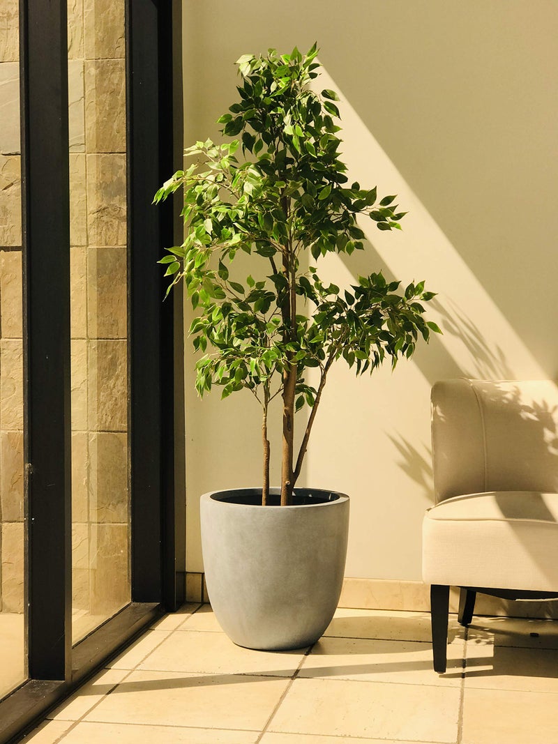 Kante 10 Inch Dia Round Concrete Planter, Indoor Outdoor Large Plant Pot with Drainage Hole and Rubber Plug for Home Patio Garden, Slate Gray - Image 2